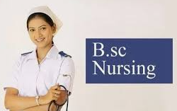 B.Sc Nursing Admission 2024