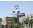 AIIMS Recruitment 2024