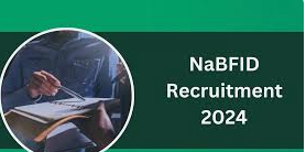 NaBFID Recruitment 2024