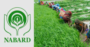 NABARD Bharti 2024