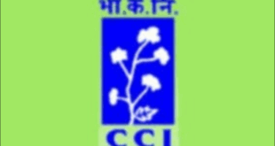 Cotton Corporation of India Bharti 2025