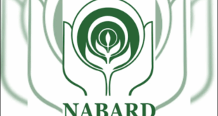 NABARD Bharti 2025