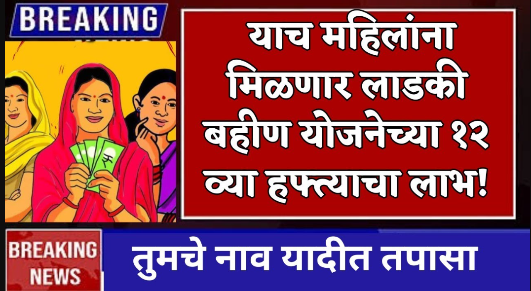 Importanat update Ladki Bahin Yojana June Installment