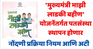 Mazi Ladki Bahin Yojana new scheme for women