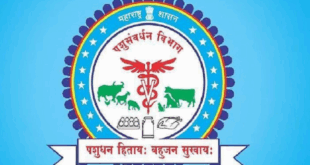 Vacancies for Livestock Development Officers to Increase