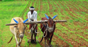Farmer Study tour into abroad 2025