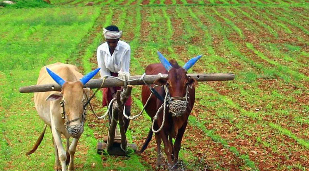 Farmer Study tour into abroad 2025