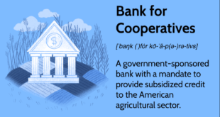 Cooperatives Bank work from home Jobs 2026