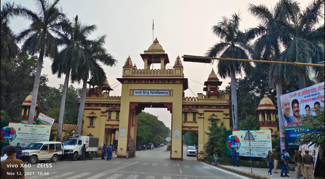 Banaras Hindu Vidyapeeth Recruitment 2026