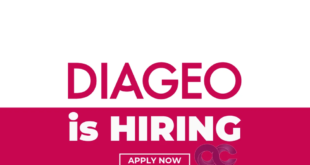 Disgeo Hiring Jobs 2026